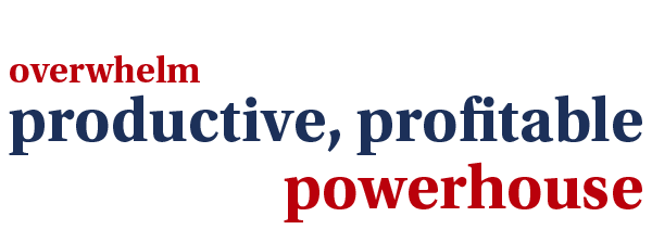 Helping your business move from overwhelm to a productive, profitable powerhouse